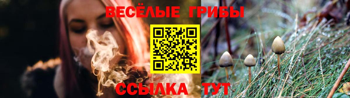 Галлюциногенные грибы ЛСД  даркнет сайт  Вход с VPN  Карачаевск  Галлюциногенные грибы прущие грибы 